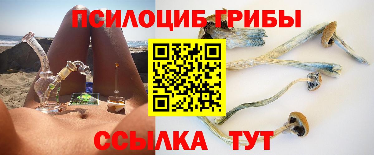 Галлюциногенные грибы MAGIC MUSHROOMS  Вход с VPN  Большой Камень 